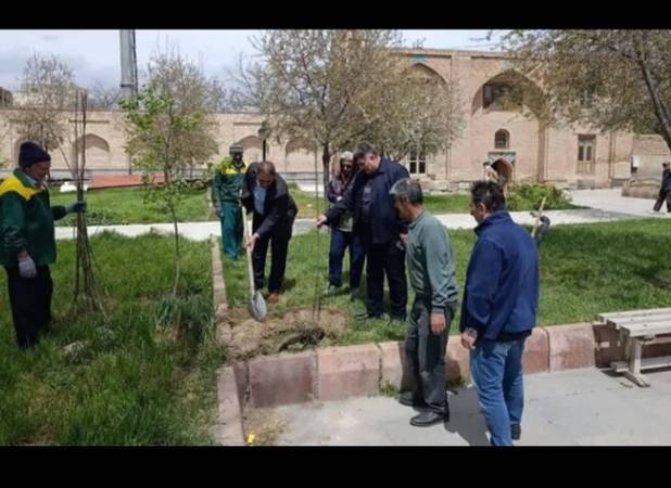 غرس ۱۰۰ اصله نهال در محوطه بقعه تاریخی شیخ کلخوران اردبیل