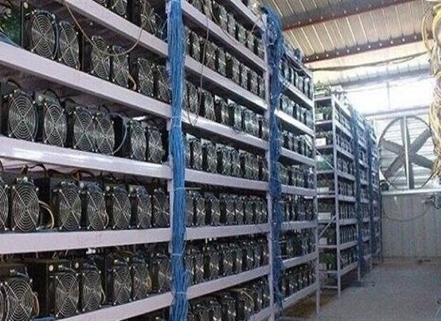 کشف مزارع زیرزمینی تولید رمرزارز در عمق 10 متری زمین