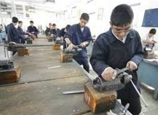 مهارت، تعاون و مولدسازی؛ مثلث طلایی اشتغال پایدار