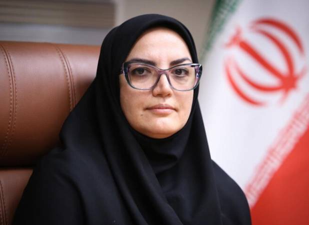میراث فرهنگی ما را هدف گرفتند؛ از ایفلا انتظار اقدامی مسئولانه داریم