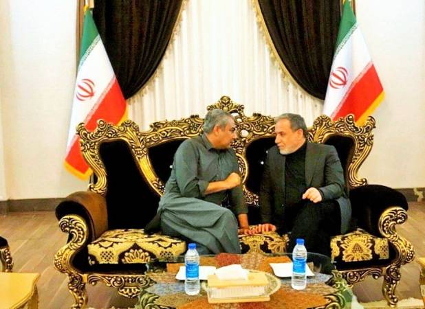 رایزنی عراقچی و وزیر کشور پاکستان در مشهد+عکس