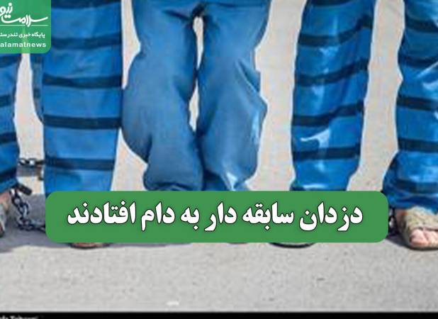 دزدان سابقه دار به دام افتادند