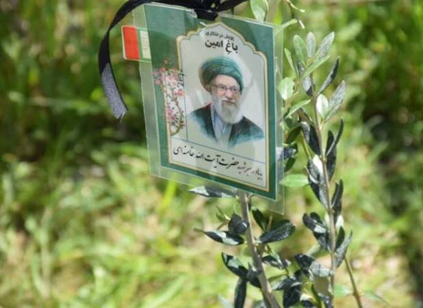 آغاز کاشت ۲۵۰۰ اصله نهال و ایجاد باغ راه گلپایگان