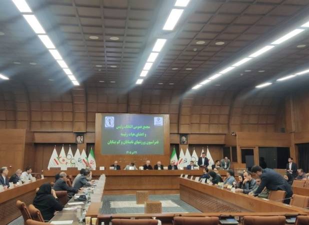 انتخابات فدراسیون نابینایان به دور دوم رفت