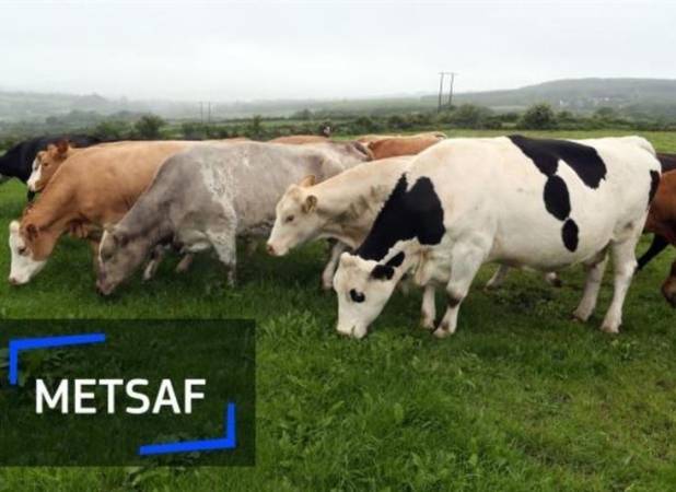 وام بلاعوض برای جبران کمبود کودشیمیایی گاوداران رومانی
