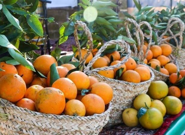 تلفیق فساد و سوءمدیریت باعث خسارت به بیت‌المال است