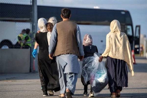 کشف ۳۱۰ میلیارد ریال فرار مالیاتی اتباع غیرایرانی 