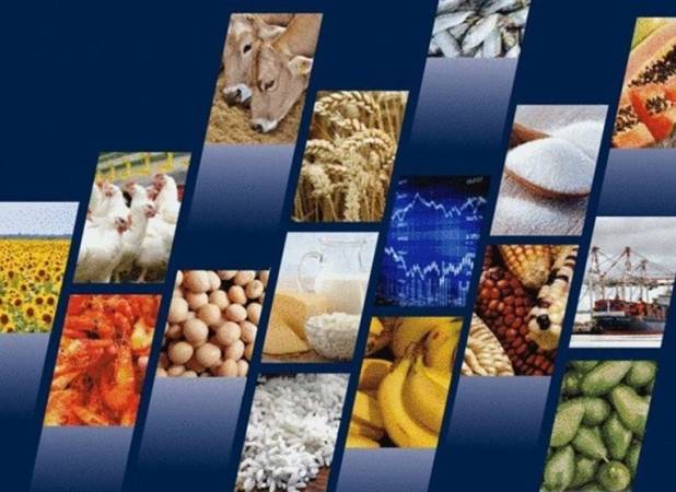 ثبت سفارش واردات 110 قلم کالای کشاورزی