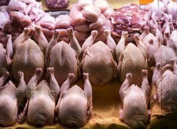 قیمت جدید مرغ در بازار/ فیله و سنگدان چقدر شد؟+ جدول