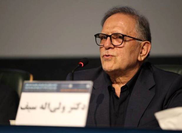 روایت ولی الله سیف از تقسیم کار بخش دولتی و خصوصی در کشورهای پیشرو صادرات | سفارتخانه‌ها فقط سیاسی نباشند | اتاق‌های بازرگانی باید بخشی از دیپلماسی اقتصادی باشند