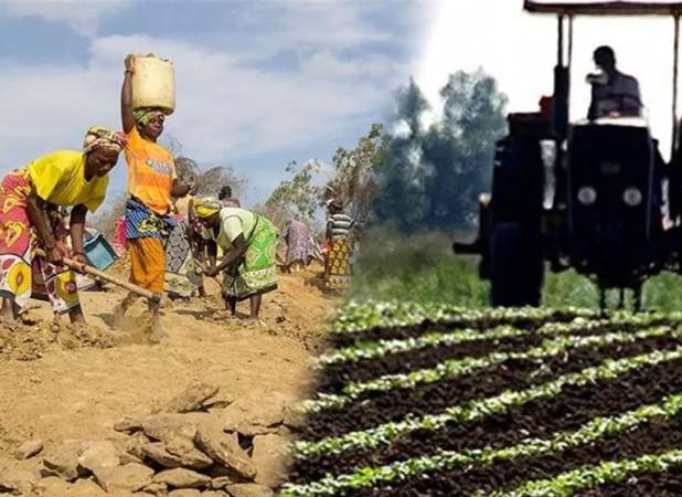 سهم بخش کشاورزی از تسهیلات حداقل معادل 10.8 درصد تعیین شد