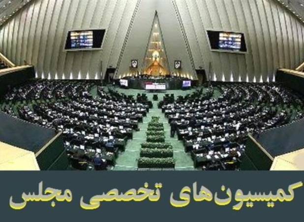 جزئیات انتخابات الکترونیکی کمیسیون‌ها؛ توضیحات عضو هیئت رئیسه
