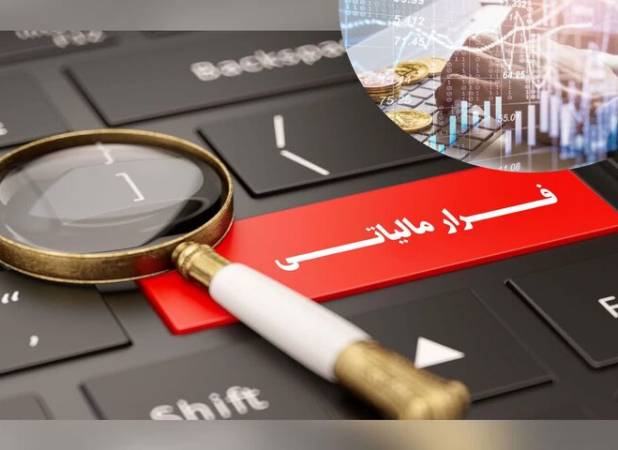کشف ۶۹۰ میلیاردی فرار مالیاتی در واحد تولیدی