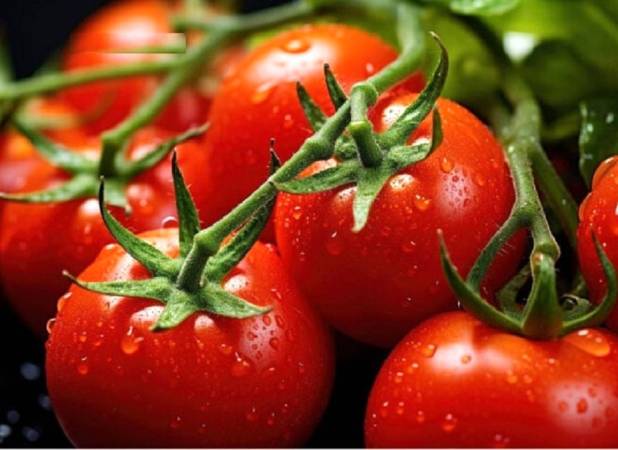 این افراد هرگز به گوجه فرنگی لب نزنند