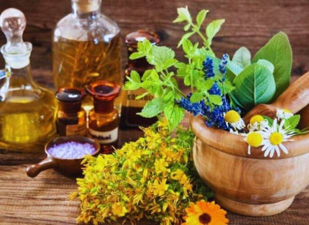 سهم ایران در بازار پول‌ساز گیاهان دارویی کمتر از ۰/۰۵ درصد است