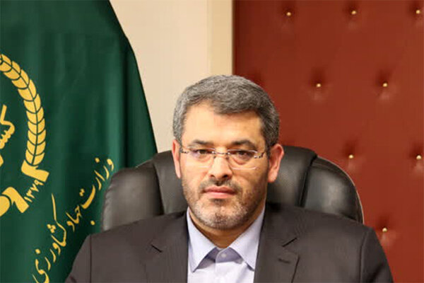 هیچ گوشت مرغ تاریخ گذشته‌ای در تهران توزیع نشده است