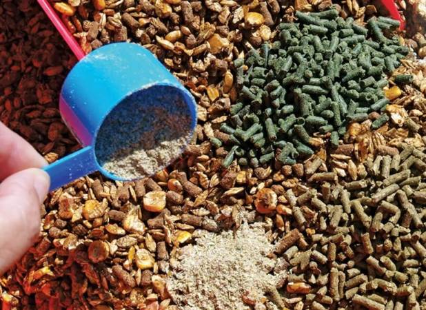 ظرفیت 300 هزار تنی تولید دی و مونوکلسیم فسفات در معرض تهدید واردات