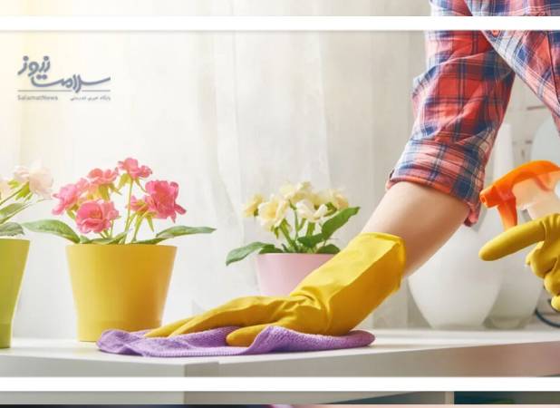 چطور در خانه هوای سالم‌تری داشته باشیم؟