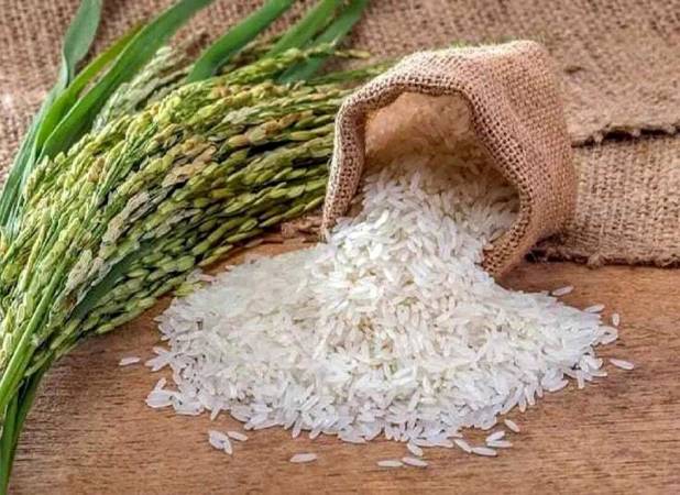 خبر مهم وزارت جهاد برای بازار/ برنج ارزان می‌شود؟