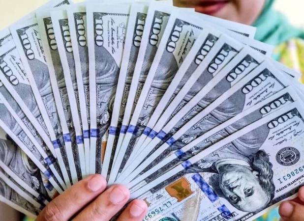 چگونه  میلیاردها دلار ارز به کشور بازگشت؟