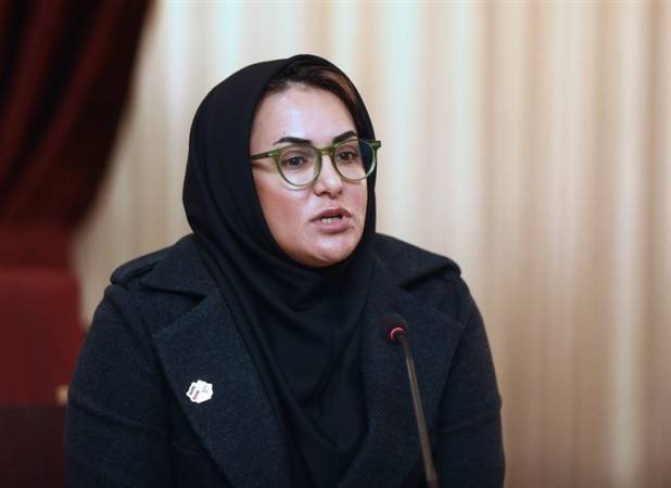 نعمتی: آینده نگری نشد و الان دست‌مان در پاراتیروکمان بسته است