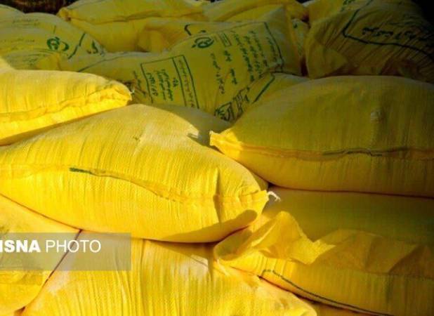 نان‌هایی که فروخته نمی‌شوند، اما آرد می‌گیرند!/ نانینو چگونه تراکنش‌های غیرعادی را شناسایی می‌کند؟