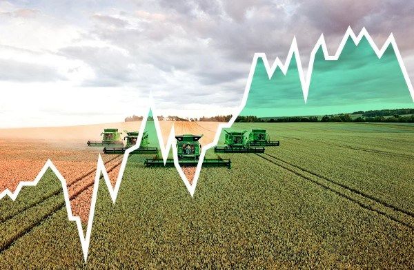 زنگ خطر به صدا درآمد؛ بحران سبدهای نان جهان | دومین بحران جهانی غلات در راه است؟ | چه بر سر قیمت‌ گندم می‌آید؟