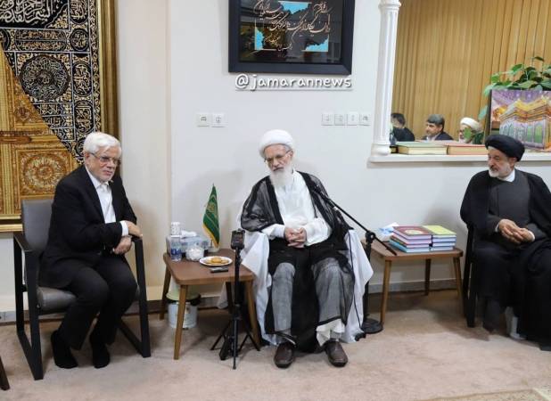 آیت الله بیات‌زنجانی در دیدار با عارف: دولت زخم دی‌ماه را ترمیم کند/ حصر مهندس موسوی در این دولت باید پایان یابد