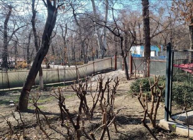 آمار شوکه‌کننده از آتش‌سوزی فضای سبز تهران/ ۳۹ هزار حریق در 10 سال اخیر