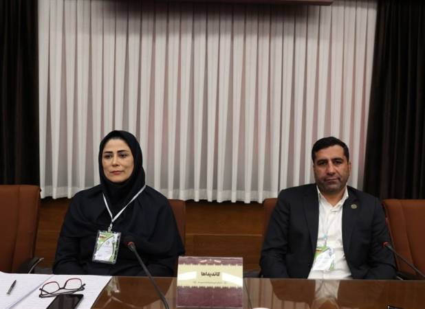 انتخابات فدراسیون اسکیت به دور دوم کشیده شد