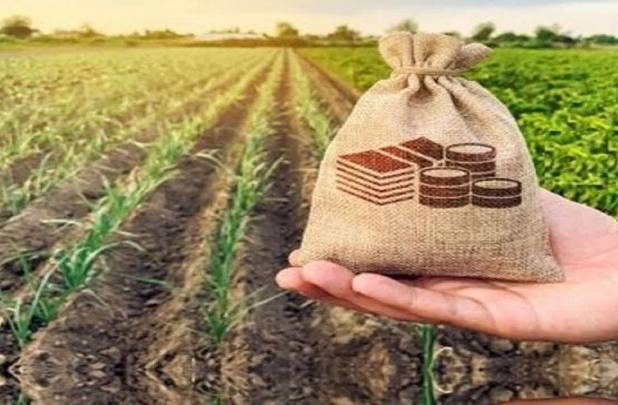 سند راهبردی صندوق بیمه کشاورزی در افق ۱۴۱۰ رونمایی شد