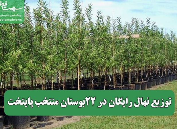 توزیع نهال رایگان در ۲۲بوستان منتخب پایتخت