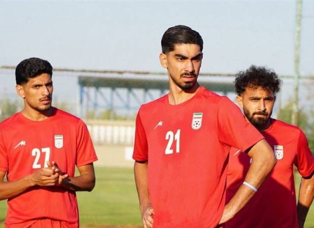 شهرآبادی: در ژاپن مشکل غذا داریم!