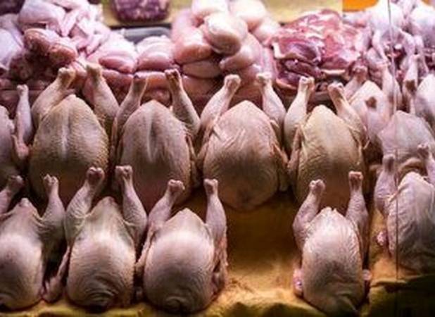 محموله ۲۰ میلیاردی مرغ‌های قاچاق در تهران کشف شد