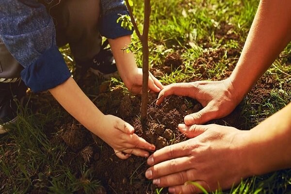دانش‌آموزان سیستان و بلوچستان به یاری طبیعت می‌شتابند