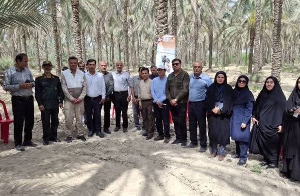 برنامه آموزشی-ترویجی کنترل آفت زنجرک خرما در بوشهر اجرا شد