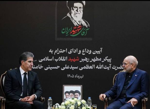  رئیس مجلس: در برابر زور تا پایان ایستادگی خواهیم کرد