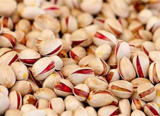 آغاز معاملات گواهی سپرده پسته از سه‌شنبه
