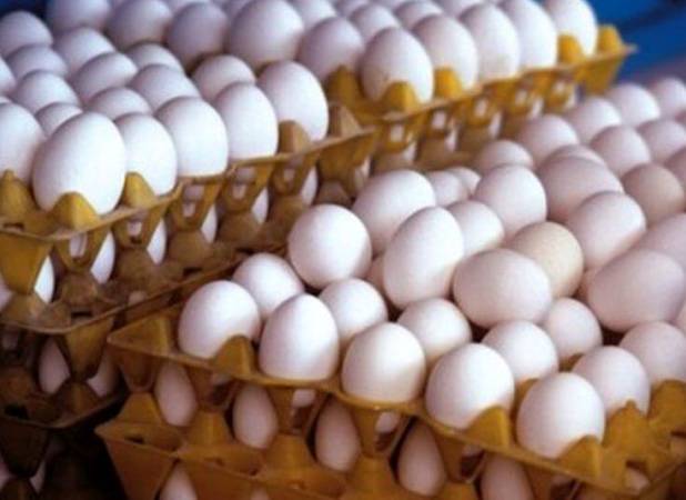 قیمت واقعی تخم‌مرغ چقدر است؟/ مصرف روزانه ۳ هزار و ۳۰۰ تن تخم مرغ در تهران