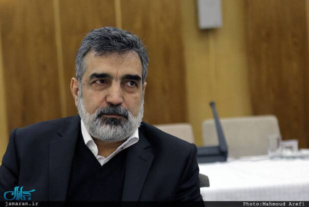 سخنگوی سازمان انرژی اتمی: تنها تعداد انگشت‌شماری کشتی در حال تردد در تنگه هرمز هستند