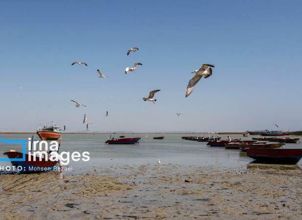 تصاویر| زندگی در کنارک پیش از سایه جنگ