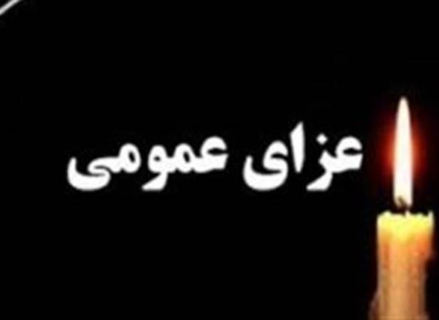 هیئت دولت در پی رحلت آیت‌الله شبیری‌زنجانی امروز عزای عمومی اعلام کرد