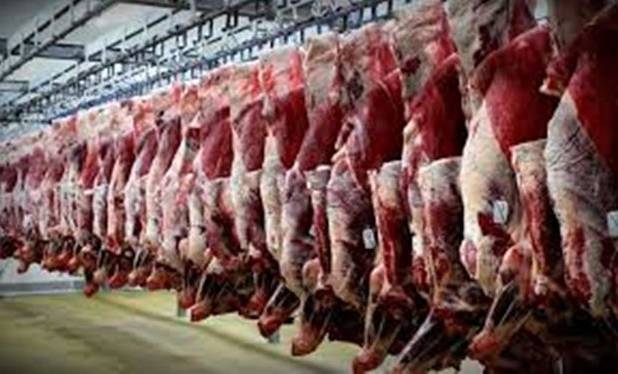 واردات گوشت از برزیل کنترل و پایش می‌شود