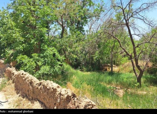 سند راهبردی برای تبدیل روستاها از حاشیه‌نشینان توسعه به بازیگران اصلی