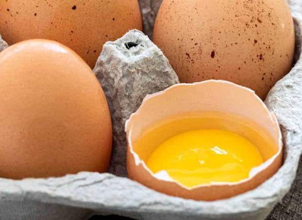 قیمت جدید تخم مرغ چقدر است؟