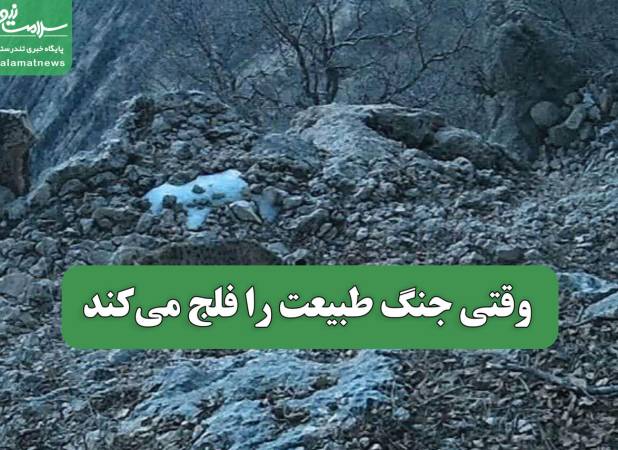 وقتی جنگ طبیعت را فلج می‌کند