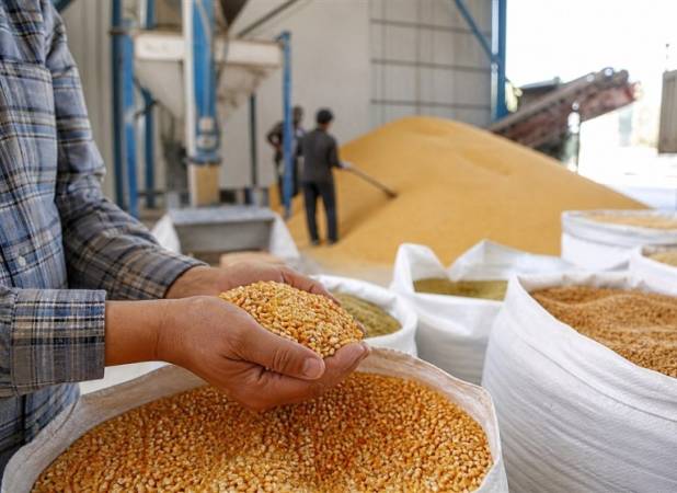 سرمایه در گردش واردکنندگان کالاهای اساسی تحت فشار قرار گرفت