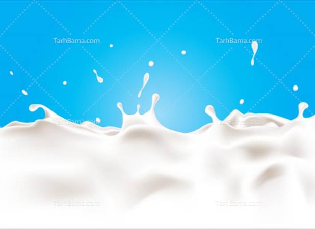 پژوهش عجیبی که جایزه ایگ‌نوبل گرفت/ «شیر سوسک» برای تغذیه انسان مناسب است؟