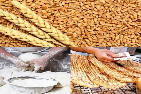 ساماندهی فرآیندهای نظارتی حوزه گندم، آرد و نان 