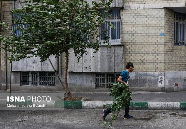 صدور هشدار هواشناسی برای 14 استان کشور